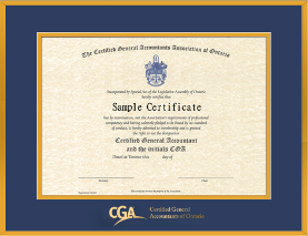 CGA Ontario Provincial certificate frame - Satin gold metal & double mat board